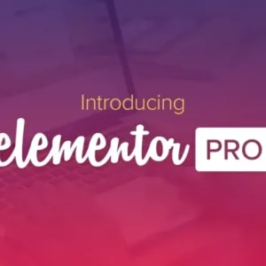 Elementor PRO WordPress Page Builder