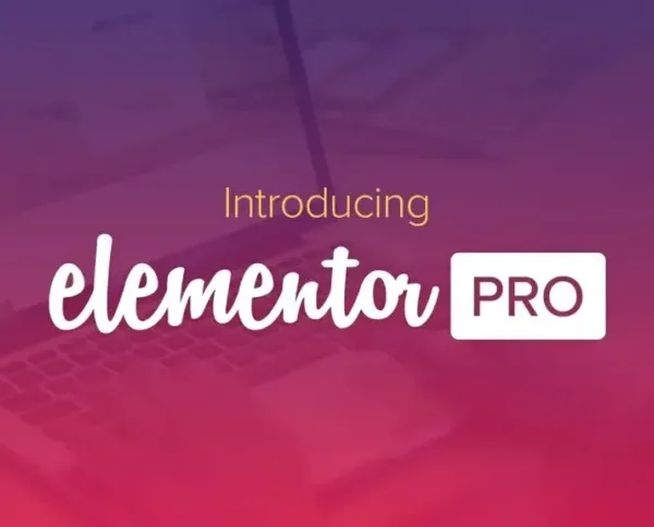 Elementor PRO WordPress Page Builder