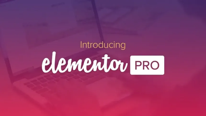 Elementor-Pro-1024x576