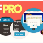 Advanced Custom Fields (ACF) Pro