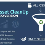 Asset CleanUp Page Speed Booster PRO