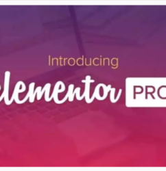 Elementor PRO WordPress Page Builder