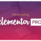 Elementor PRO WordPress Page Builder