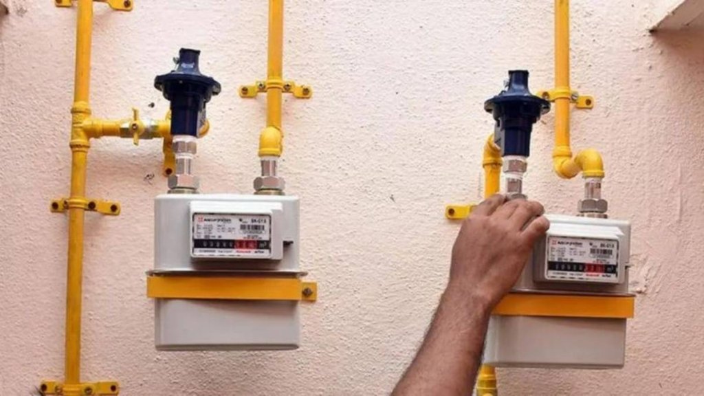 How to apply online for PNG? In how many days will the connection be established? Know the complete process