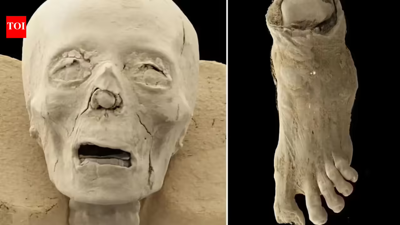 Inside 2,300-year-old Egyptian mummies: CT scans expose skulls, disease, and a mysterious missing toe |