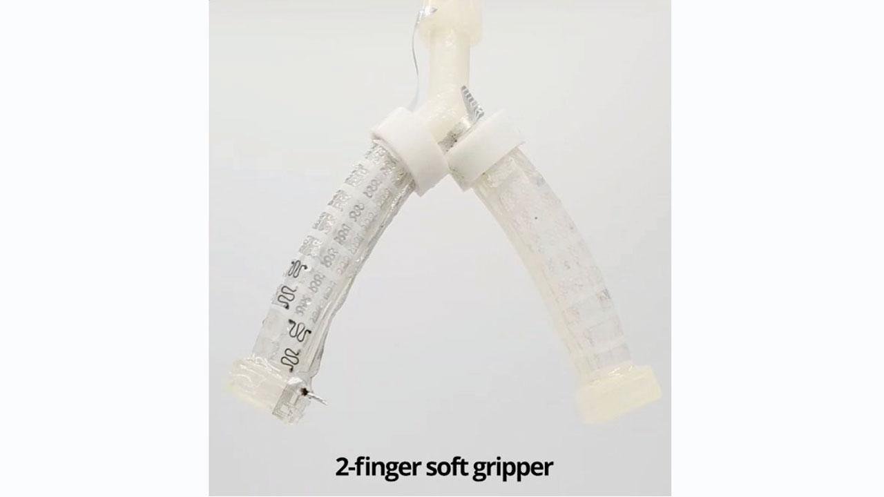 Now, a fully compostable robot