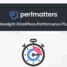 Perfmatters WordPress Performance Plugin