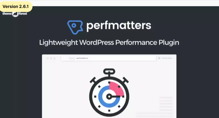 Perfmatters WordPress Performance Plugin