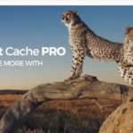 WP Fastest Cache Premium WordPress plugin