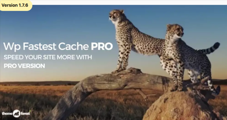 WP Fastest Cache Premium WordPress plugin