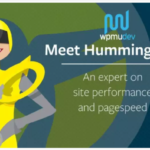 WPMU DEV Hummingbird Pro