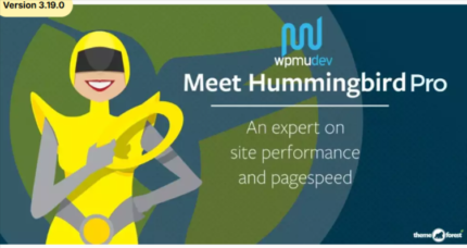 WPMU DEV Hummingbird Pro