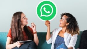 Web users on WhatsApp will get the feature of choosing their favorite chat theme, setting multiple colors and wallpapers.