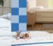 Best Memorial Day Mattress Deals: Helix, Saatva (2026)