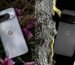 Google Pixel 10 price hike, big price cut of Rs 20000, cheapest available here