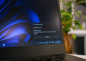 How APAC organizations fight malware