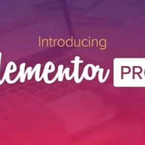 Elementor Pro Wilth Licence Key