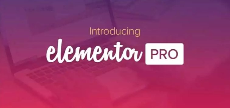 Elementor Pro Wilth Licence Key